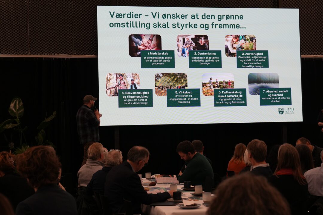 First Danish Deliberative Mix Panel on climate action