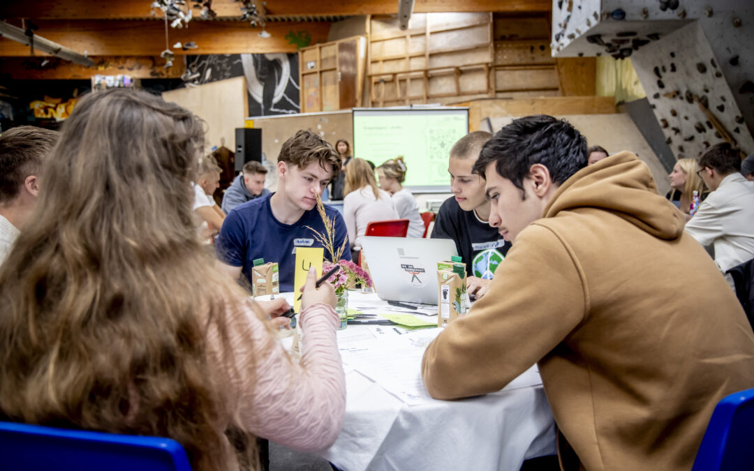 How to strengthen youth democracy – 14 recommendations from young people themselves